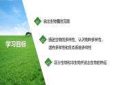 1.1.1形形色色的生物 课件    2024-2025学年北师大（2024版）七年级生物上册