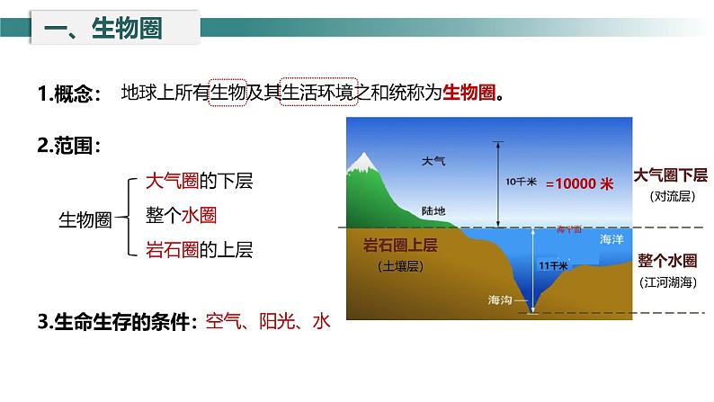 1.1.1形形色色的生物 课件    2024-2025学年北师大（2024版）七年级生物上册第5页