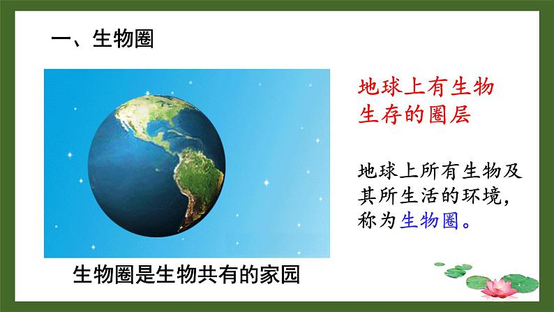 1.1.1形形色色的生物课件 2024-2025学年北师大（2024版）七年级生物上册第5页