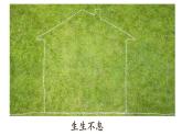 1.1.1形形色色的生物课件——2024-2025学年北师大（2024版）七年级生物上册