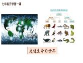1.1.1形形色色的生物课件——2024-2025学年北师大（2024版）七年级生物上册