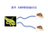1.1.3 生物学研究的基本方法  课件----2024-2025学年北师大（2024版）七年级生物上册.