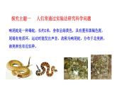 1.1.3 生物学研究的基本方法  课件----2024-2025学年北师大（2024版）七年级生物上册.