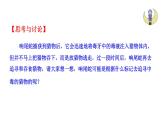 1.1.3 生物学研究的基本方法  课件----2024-2025学年北师大（2024版）七年级生物上册.