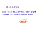 2.2.1  细胞的基本结构和功能（二）  课件--2024-2025学年北师大（2024版）七年级生物上册