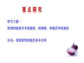 2.2.1  细胞的基本结构和功能（二）  课件--2024-2025学年北师大（2024版）七年级生物上册