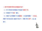 2.2.1  细胞的基本结构和功能（二）  课件--2024-2025学年北师大（2024版）七年级生物上册
