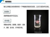 2.2.1 细胞的基本结构和功能课件----2024-2025学年北师大（2024版）七年级生物上册