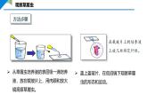 2.2.1 细胞的基本结构和功能课件----2024-2025学年北师大（2024版）七年级生物上册