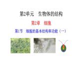 2.2.1细胞的基本结构和功能（一）  课件--2024-2025学年北师大（2024版）七年级生物上册