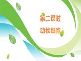2.2.1.2 动物细胞  课件----2024-2025学年北师大（2024版）七年级生物上册