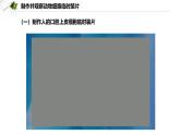 2.2.1.2 动物细胞  课件----2024-2025学年北师大（2024版）七年级生物上册