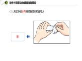 2.2.1.2 动物细胞  课件----2024-2025学年北师大（2024版）七年级生物上册