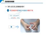 2.2.1.2 动物细胞 课件 ----2024-2025学年北师大（2024版）七年级生物上册