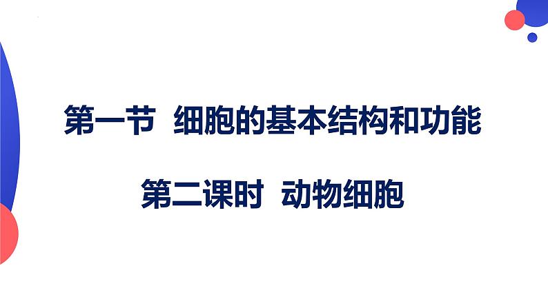 2.2.1.2 动物细胞 课件----2024-2025学年北师大（2024版）七年级生物上册01