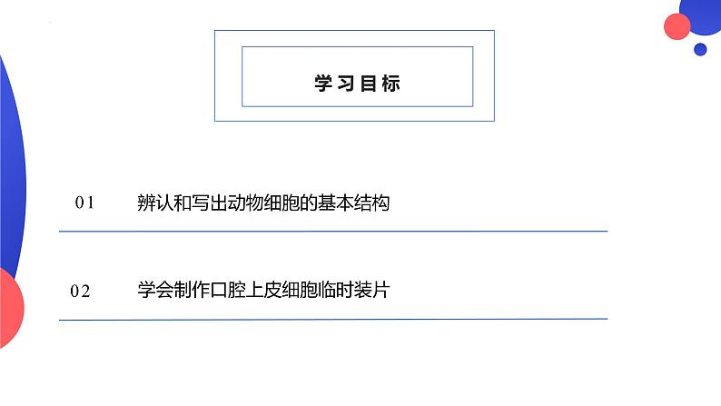 2.2.1.2 动物细胞 课件----2024-2025学年北师大（2024版）七年级生物上册02