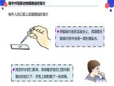 2.2.1.2 动物细胞 课件----2024-2025学年北师大（2024版）七年级生物上册