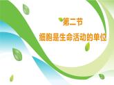 2.2.2  细胞是生命活动的单位  课件----2024-2025学年北师大（2024版）七年级生物上册