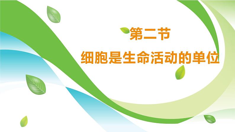 2.2.2  细胞是生命活动的单位  课件----2024-2025学年北师大（2024版）七年级生物上册01