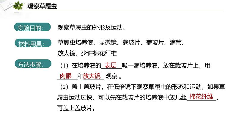 2.2.2  细胞是生命活动的单位  课件----2024-2025学年北师大（2024版）七年级生物上册02