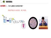 2.2.2  细胞是生命活动的单位  课件----2024-2025学年北师大（2024版）七年级生物上册