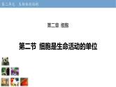 2.2.2 细胞是生命活动的单位 课件----2024-2025学年北师大（2024版）七年级生物上册