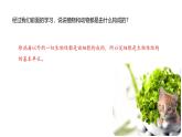 2.2.2 细胞是生命活动的单位 课件----2024-2025学年北师大（2024版）七年级生物上册