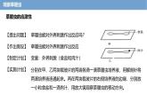 2.2.2 细胞是生命活动的单位 课件----2024-2025学年北师大（2024版）七年级生物上册