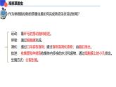 2.2.2细胞是生命活动的单位 课件----2024-2025学年北师大（2024版）七年级生物上册