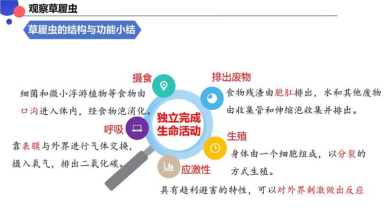 2.2.2细胞是生命活动的单位 课件----2024-2025学年北师大（2024版）七年级生物上册第6页