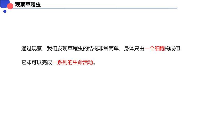 2.2.2细胞是生命活动的单位 课件----2024-2025学年北师大（2024版）七年级生物上册第8页