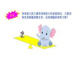2.3.1  细胞通过分裂而增殖 课件 --2024-2025学年北师大（2024版）七年级生物上册