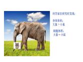 2.3.1  细胞通过分裂而增殖 课件 --2024-2025学年北师大（2024版）七年级生物上册