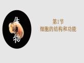 2.3.1 细胞的结构和功能课件 --2024-2025学年北师大（2024版）七年级生物上册