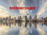 2.3.1 细胞的结构和功能课件 --2024-2025学年北师大（2024版）七年级生物上册
