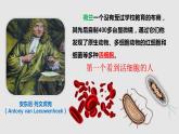 2.3.1 细胞的结构和功能课件 --2024-2025学年北师大（2024版）七年级生物上册