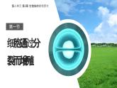 2.3.1 细胞通过分裂而增殖 课件--2024-2025学年北师大（2024版）七年级生物上册