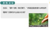 2.3.1 细胞通过分裂而增殖 课件--2024-2025学年北师大（2024版）七年级生物上册