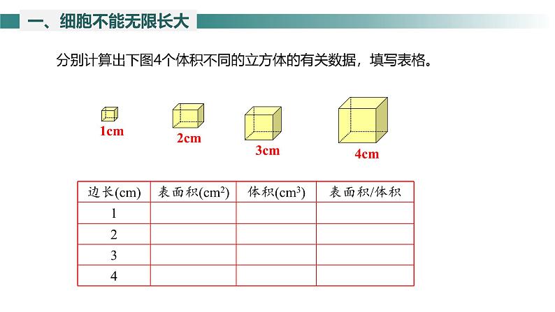 2.3.1 细胞通过分裂而增殖 课件--2024-2025学年北师大（2024版）七年级生物上册第7页