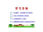 2.3.3 生物体的器官、系统 课件 -2024-2025学年北师大（2024版）七年级生物上册