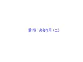 3.4.1光合作用(二) 课件-2024-2025学年北师大（2024版）七年级生物上册