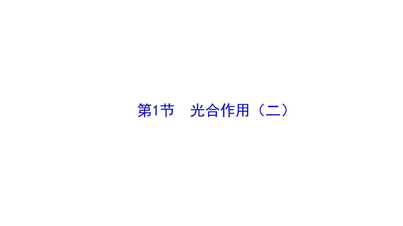 3.4.1光合作用(二) 课件-2024-2025学年北师大（2024版）七年级生物上册01