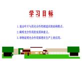 3.4.1光合作用(二) 课件-2024-2025学年北师大（2024版）七年级生物上册
