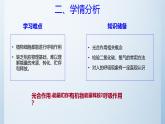3.4.2呼吸作用说课课件----2024-2025学年北师大（2024版）七年级生物上册