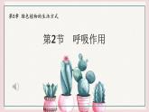 3.4.2呼吸作用课件 ----2024-2025学年北师大（2024版）七年级生物上册