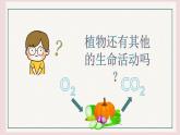 3.4.2呼吸作用课件 ----2024-2025学年北师大（2024版）七年级生物上册