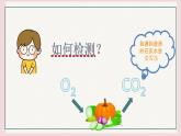 3.4.2呼吸作用课件 ----2024-2025学年北师大（2024版）七年级生物上册