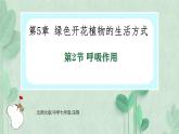 3.4.2呼吸作用课件----2024-2025学年北师大（2024版）七年级生物上册