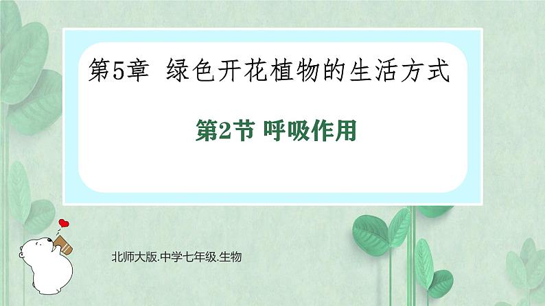 3.4.2呼吸作用课件----2024-2025学年北师大（2024版）七年级生物上册第1页