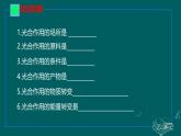 3.4.2呼吸作用课件----2024-2025学年北师大（2024版）七年级生物上册